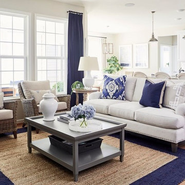 Beach Style Living Room