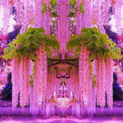 Pooja B's photo