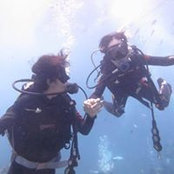 Min Knoll's photo