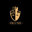 Dluxe Exteriors and Renovations