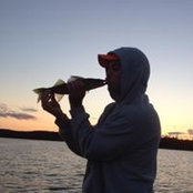 Matthew Joslin's photo