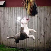 Jennifer Marie's photo