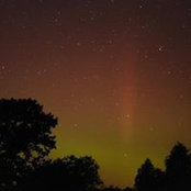 Trina Denaro's photo