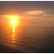 Steve Petrasek's photo