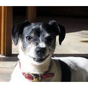 Melissa Igoe's photo