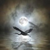 Rachel Berger's photo