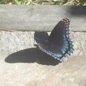 Karen Buck's photo