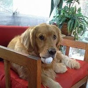 Christa Kopp's photo