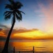 Tejas Varma's photo
