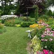 Marcelle Laviolette's photo