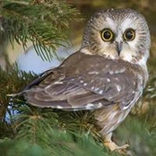 Donna Archer's photo