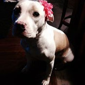 Foto de Feb Jones