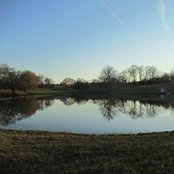 Adam Marston's photo