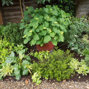 Gamble Garden Spring Tour 2014: Melville
