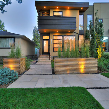 Contemporary Gardens