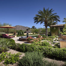 landscape ideas