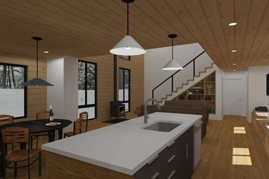 Inspiration for a modern home design remodel in Other