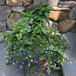 Annual Custom Containers - Outdoor Pots And Planters