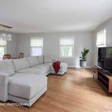 Arlington Historic District Addition & Renovation