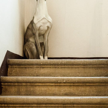 Visita Privata : Casa di Frampesca