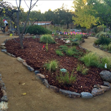 Lawn Conversion, Shingle Springs, CA