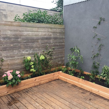 Garden Design and Maintenance