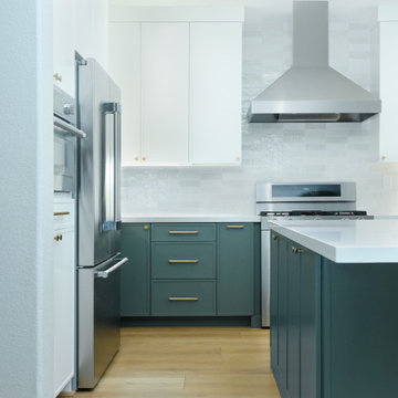 Elk Grove Contemporary Kitchen Remodel