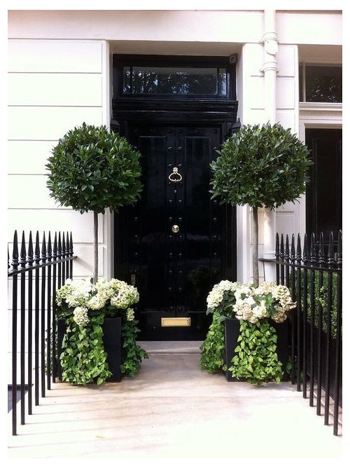 Entryway Topiary Tree