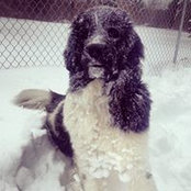 Tracy Matazinsky's photo