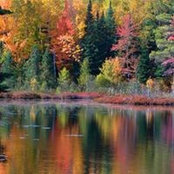 Tracy Ellis Henry's photo