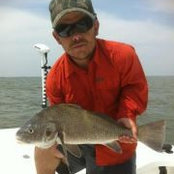 Allen Wills's photo