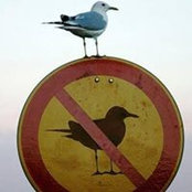 Beverly Sparks's photo