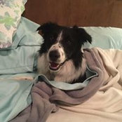 Angela Rodger's photo