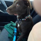 Donald Hite's photo