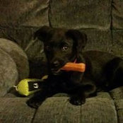 Kendra Meyer's photo