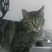 Kaylein Turrel's photo