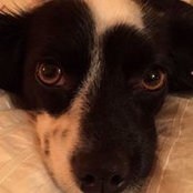 Raquel Elfassi's photo