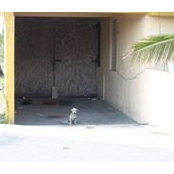 Adam Denomme's photo