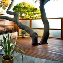 Front yard ideas
