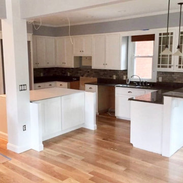 Ameer kitchen and living area removal load bearing wall