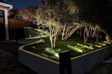 This is an example of a modern landscaping in San Francisco.
