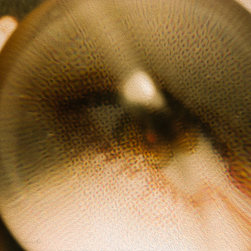 Eyeball - Artwork