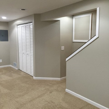 Traditional Basement