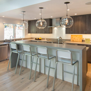 Contemporary Kitchen