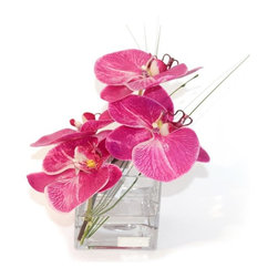 Fuchsia Phalaenopsis Glass Square - Products