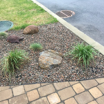 Feather-Reed grass,small rocks and river rock bed