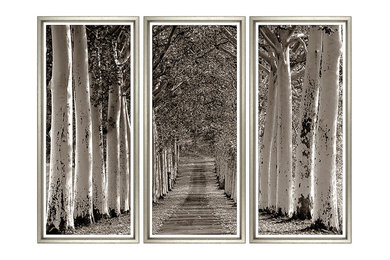 TROWBRIDGE - Avenue of Trees