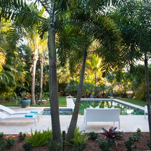 Pools and patio/lanai