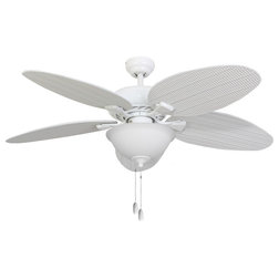 Transitional Ceiling Fans by Palm Coast Imports