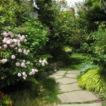 San Francisco Botanical Blast